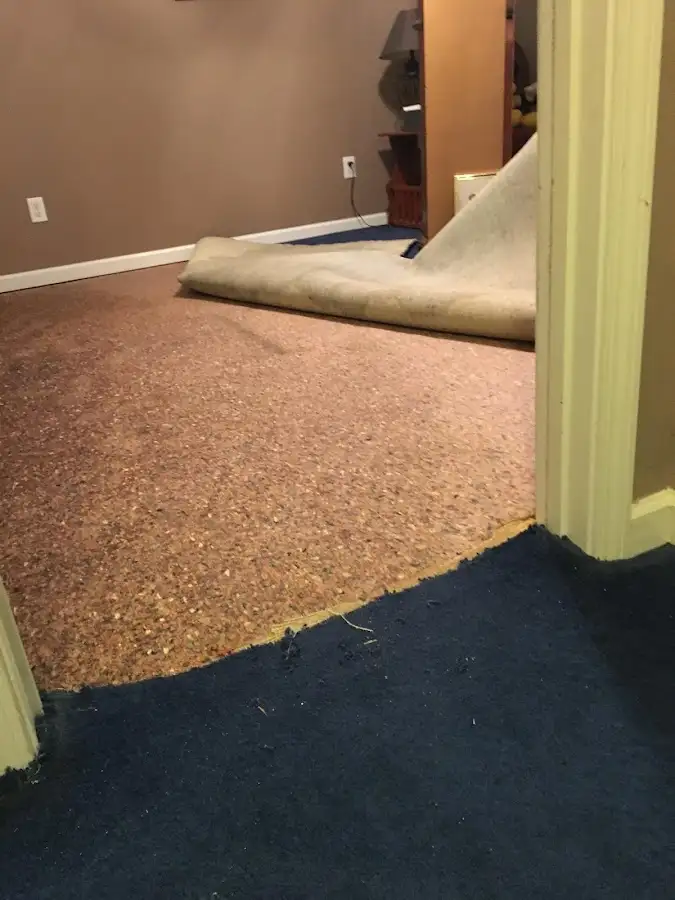 Carpet pad removal revealing water damage during Drying & Dehumidification in Hemet